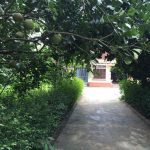 Hue-Garden-House-ve-voi-khu-vuon-ngat-xanh-tai-hue1